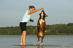 woman with Bernese-Mountain-Dog-Saint-Bernard-Mongrel