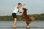 woman with Bernese-Mountain-Dog-Saint-Bernard-Mongrel