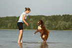 woman with Bernese-Mountain-Dog-Saint-Bernard-Mongrel
