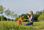 woman with Podenco-Mongrel