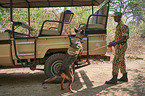 antipoaching unit
