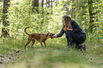 woman and mongrel