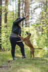 woman and mongrel