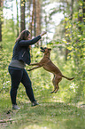 woman and mongrel