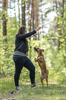 woman and mongrel