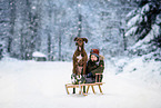 boy and Podenco-Mongrel