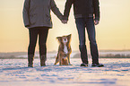 humans and Collie-Mongrel