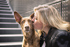 woman and Podenco-Mongrel