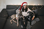 woman and 2 dogs