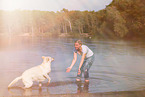 male Labrador-Retriever-Shepherd