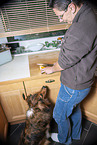 prepare food