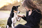 female Border-Collie-Mongrel