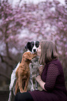 2 dogs