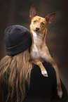 woman and mongrel