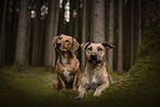 Mongrels