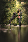 Rhodesian-Ridgeback-Dalmatian