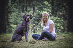 Labrador-Retriever-German-wirehaired-Pointer