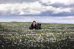 Shepherd-Mongrel