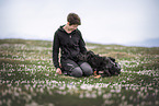 Shepherd-Mongrel