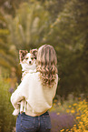 Miniature-Australian-Shepherd-Mongrel
