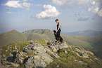 Croatian-Shepherd-Mongrel
