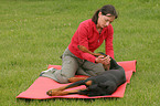 physiotherapy for animals