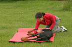 physiotherapy for animals