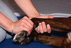 physiotherapy