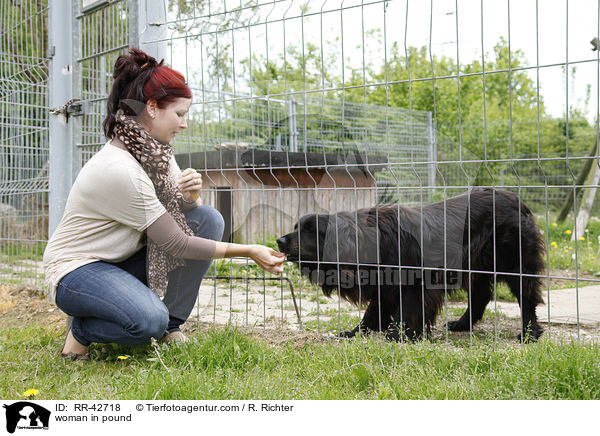 woman in pound / RR-42718