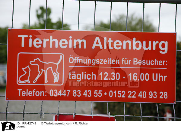 Tierheim / pound / RR-42748