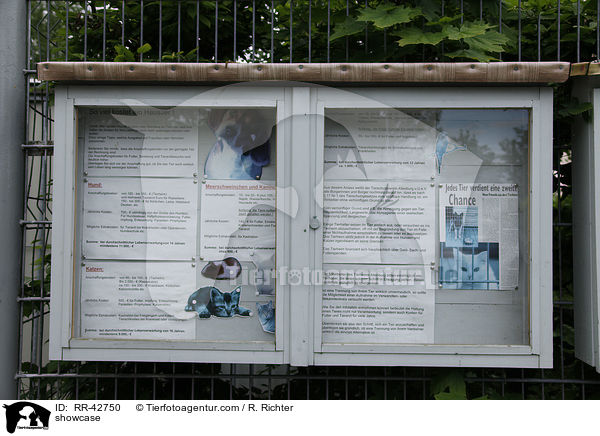 Schaukasten / showcase / RR-42750