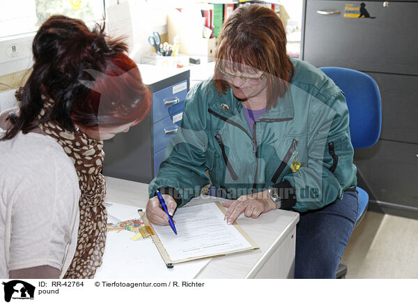 Vermittlungsvertrag / pound / RR-42764