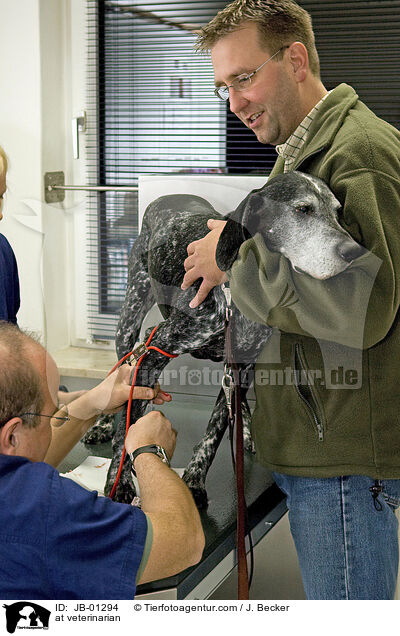 beim Tierarzt / at veterinarian / JB-01294