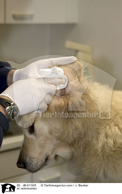 beim Tierarzt / at veterinarian / JB-01305