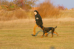 Doberman Pinscher at training