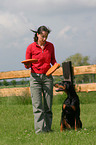 Doberman Pinscher at playing frisbee