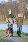 kids walk a dog