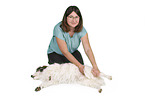 Terrier-Mongrel at physiotherapy