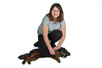 Terrier-Mongrel at physiotherapy