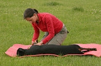 physiotherapy for animals