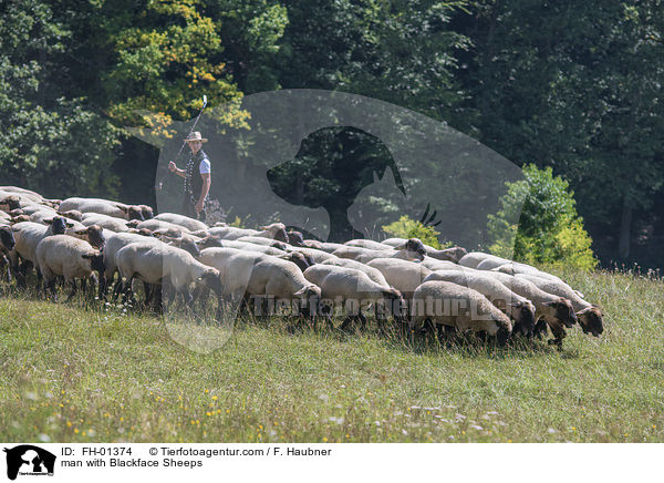 man with Blackface Sheeps / FH-01374