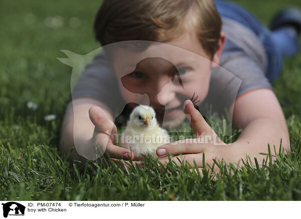 Junge mit Kken / boy with Chicken / PM-07474