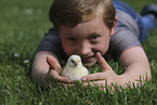 boy with Chicken