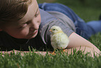 boy with Chicken