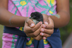 human with Chicken