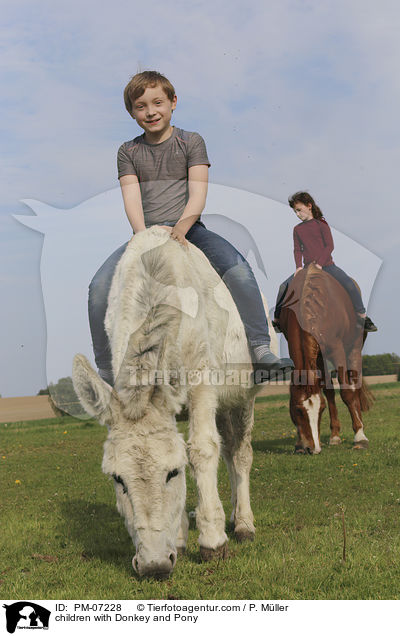 Kinder mit Esel und Pony / children with Donkey and Pony / PM-07228