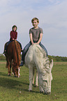 children with Donkey and Pony