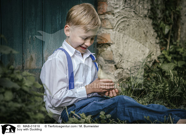 Junge mit Entenkken / boy with Duckling / MAB-01818