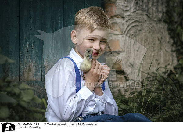 Junge mit Entenkken / boy with Duckling / MAB-01821