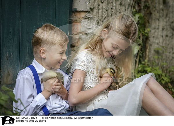 Kinder mit Entenkken / childrens with Duckling / MAB-01825